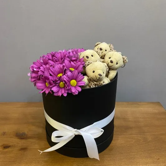 Kutuda Papatya ve Ayıcık