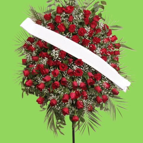 Kırmızı Güllerden Perporje