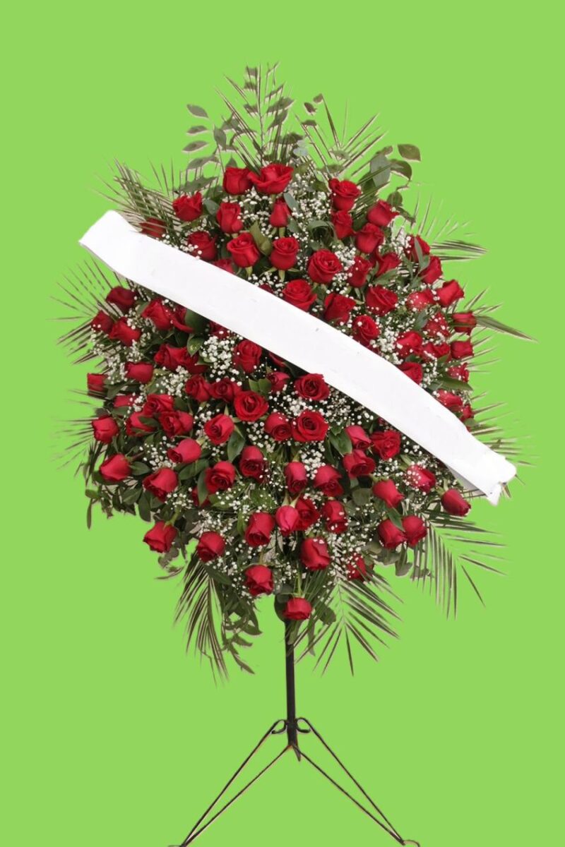 Kırmızı Güllerden Perporje