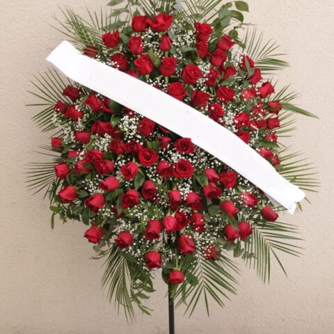 Kırmızı Güllerden Perporje