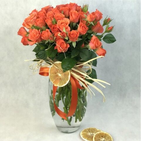 Vazoda Turuncu Çardak Gül