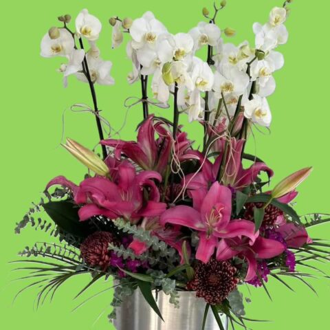 Orkide ve Lilyum