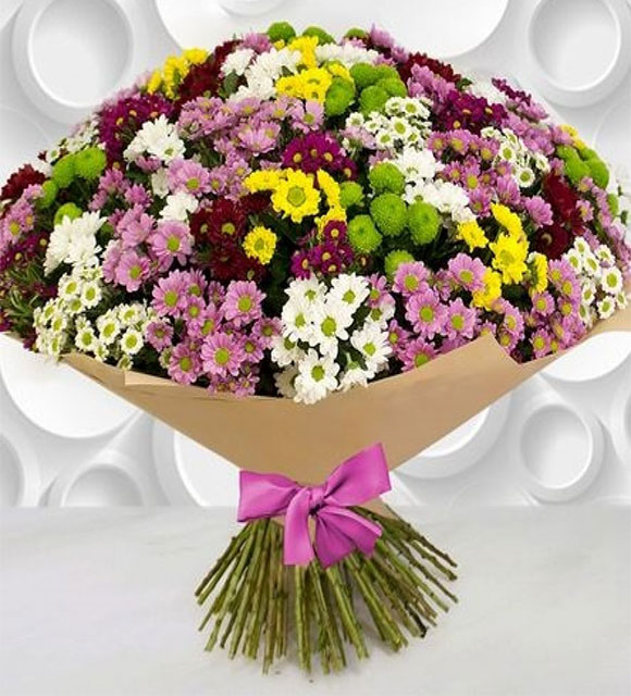 Renkli Büyük Papatya Demedi