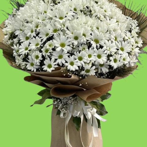 Meleğime Dev Papatya Buketi