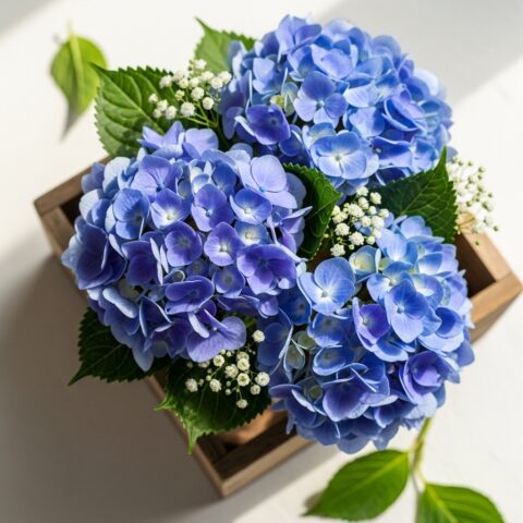 Premium Ortanca Kompozisyonu #008