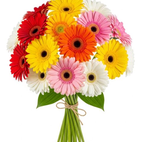 Klasik Gerbera Buketi #015