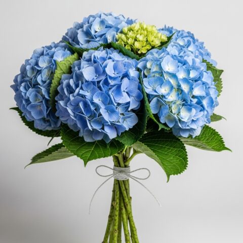 Klasik Ortanca Kompozisyonu #015