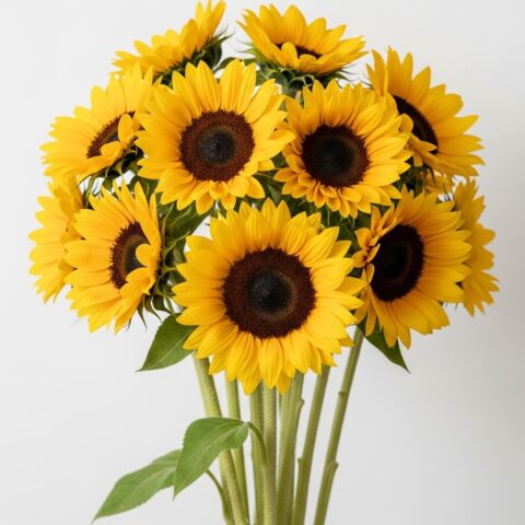 Premium Ayçiçeği Çiçek Tasarımı #017
