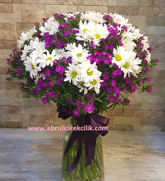 Hüsnü Yusuf ve Papatya